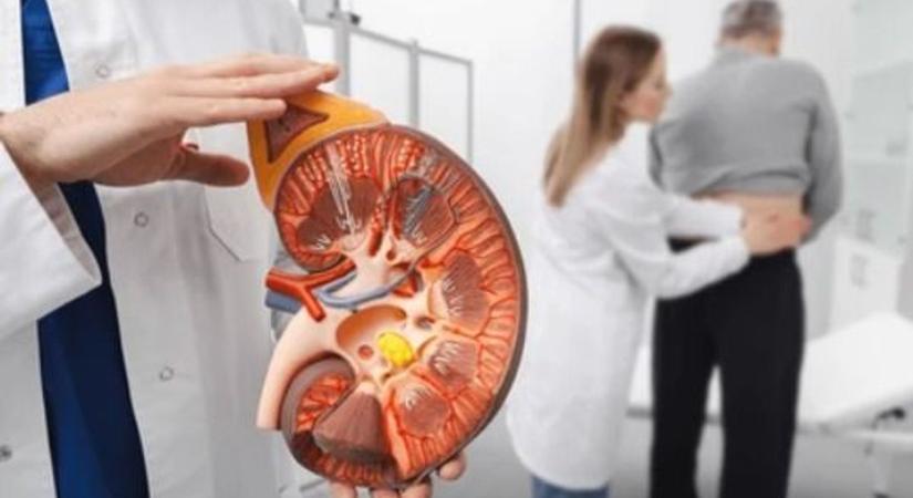 Titkos hősök a testünkben, akikről ritkán beszélünk