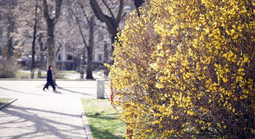 Kellemes tavaszi időjárás várható, de egy meglepetés még benne lehet a hétvégében