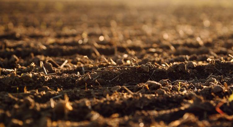 A napokban berobban a tavasz, aztán jön a fordulat