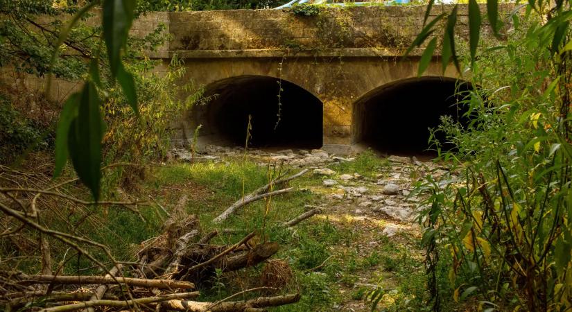 Korán jött a szárazság: már most aszály alakul ki Magyarországon