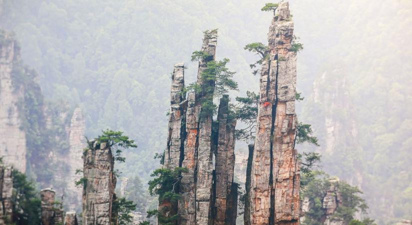 Bambusztutajjal az ismeretlenbe: bonyhádi fotósnő hódította meg a kínai rizsföldeket! (képgalériával és videóval)