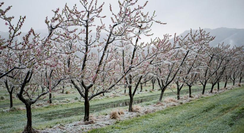 Zivatarrendszerek tombolnak, felhőszakadással és jégesővel tarol a vihar