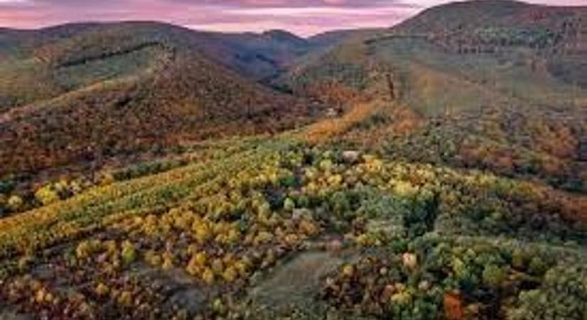 Elrendelték! Teljes tilalom lép életbe órák múlva Borsodban