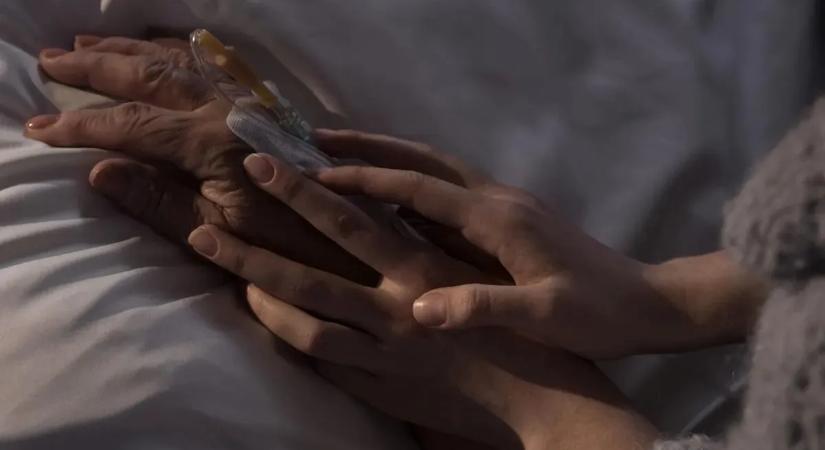 A cél a méltóság megőrzése: új palliatív ellátás a Semmelweis Egyetemen