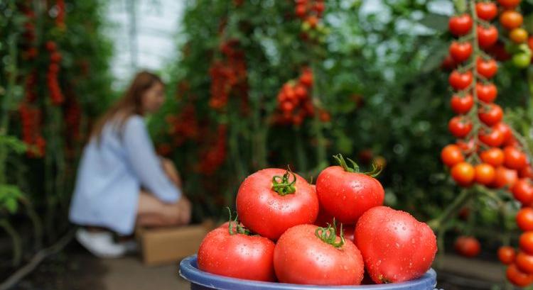 Szigorít az EU: jön az új maradványanyag-határ