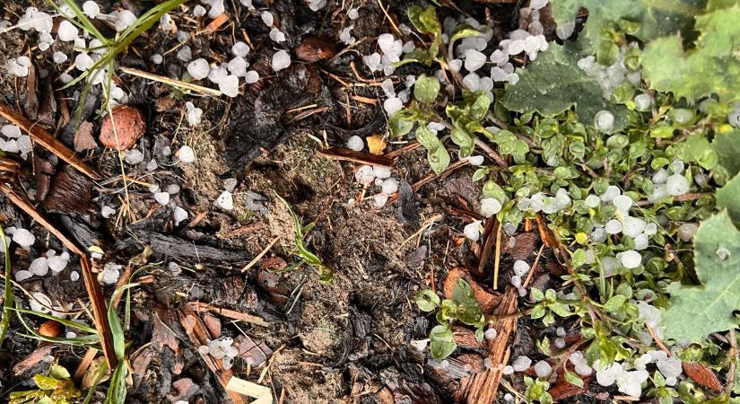 Borsónyi jég verte Szolnokot: heves zivatar csapott le csütörtök délután – videóval