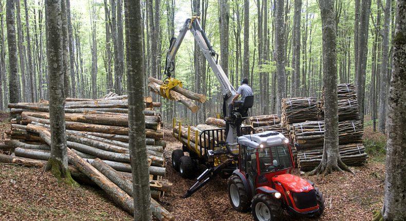 Jó hír! Új fejlesztési támogatás nyílik az erdőgazdálkodók számára