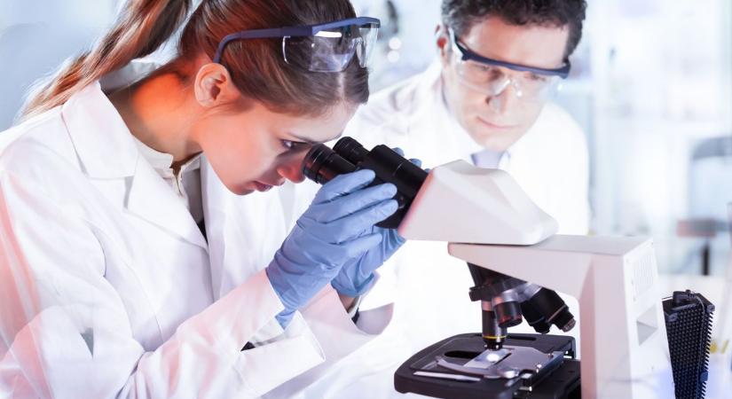 Tudományfejlesztés Kárpátalján 2026-ban: 34,8 millió hrivnya támogatás