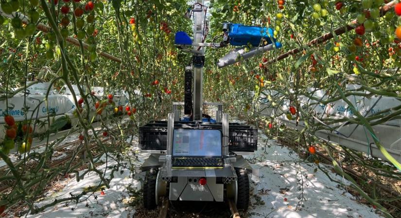 Nem fárad el, nem kér fizetésemelést, és szempillantás alatt leszedi a termést VIDEÓ