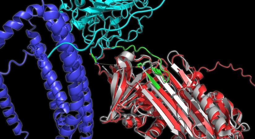 Milyen gyorsan hajtogatódnak össze a fehérjék?