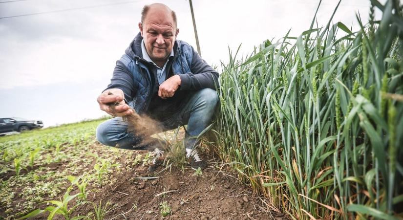 Aszály és szemléletváltás: vízügyi konferencia Kaposváron