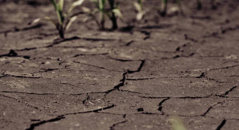 Agrometeorológia: szárad a talaj