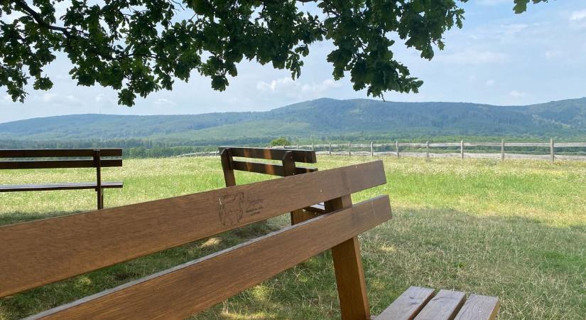 Programdömping – Kihagyhatatlan hétvégi ajánlatok Veszprém vármegyében március közepén