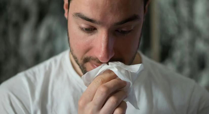 Szénanáthától szenved? Ezekkel a praktikákkal hamar búcsút inthet a gondnak