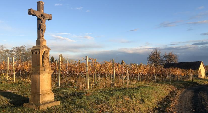 Da bibere – A megbízhatóság mint ars poetica