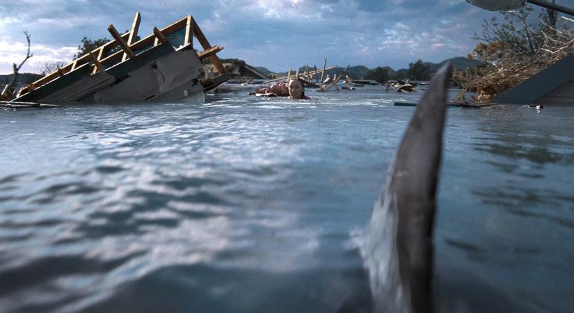 Thrash előzetes – Nem elég a szökőár, még éhes cápák is jöttek vele