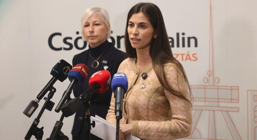 Szentkirályi Alexandra: a választás a magyar és a külföldi érdekek között dönt