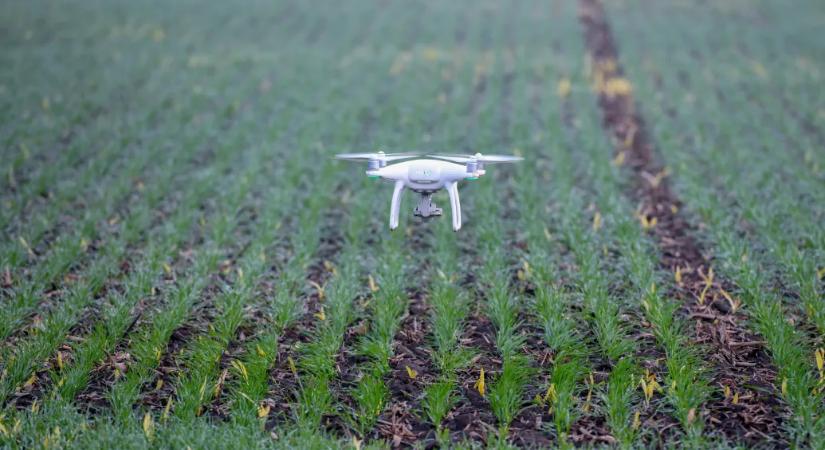 Az állítólagos ukrán fenyegetés miatt elrendelt dróntilalom miatt most nem tudnak permetezni a gazdák Szabolcsban