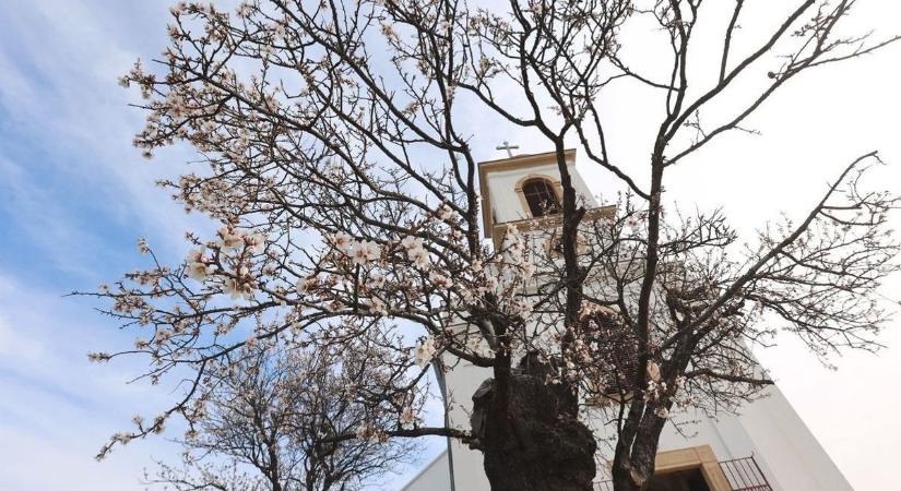Nincs titok, ezt tartogatja a holnapi időjárás