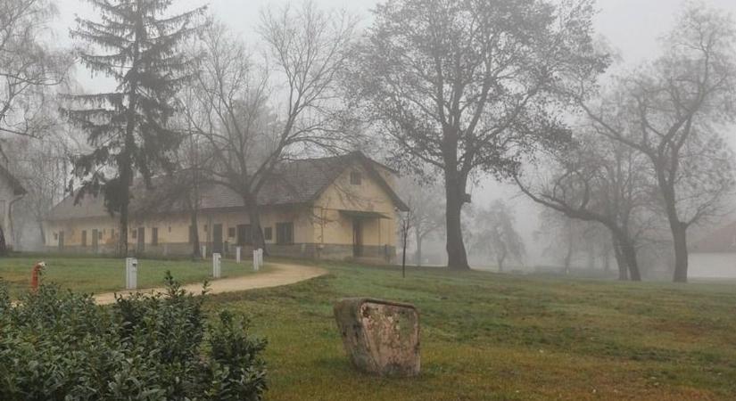 Elfelejtett temetőben ismeretlen csontvázak: megdöbbentő felfedezések a híres szabolcsi turistacélpont alatt