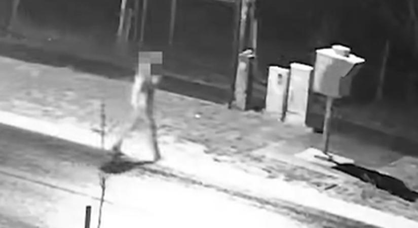 Idegesítette a fix traffipax, lefújta festékszóróval