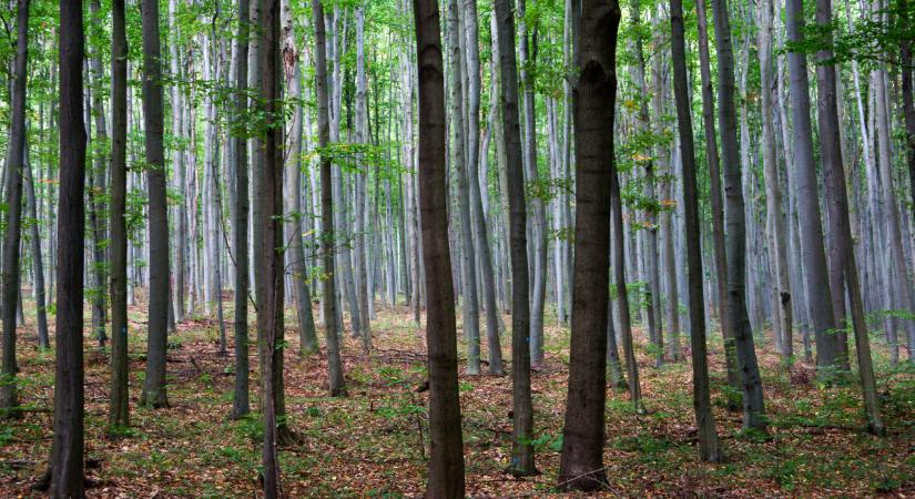 Olyan változás lesz itthon, ami több ezer hektár földterületet érint