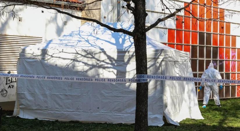 „A fejét a földhöz ütötték” – kiderült, miért végezhetett áldozatával a szekszárdi játszótéri gyilkos