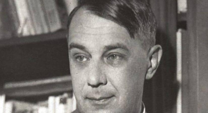 14 éves lányba szeretett bele a magyar költő: Fecskelánynak szólította