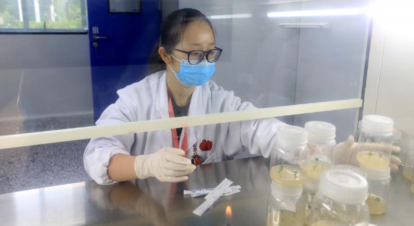 Megtalálták azt a fehérjét, aminek kikapcsolásával vége lehet a maláriának