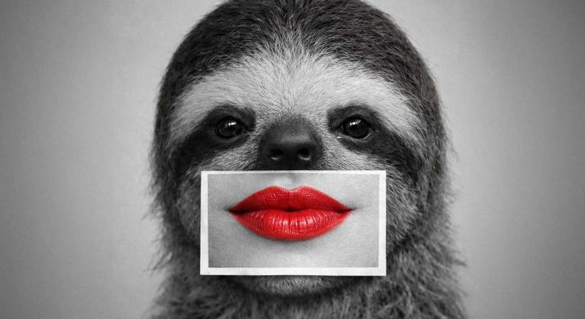 AI picture editor: a legjobb mesterséges intelligencia képszerkesztők 2026-ban