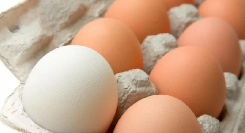 Ha így eszed a tojást, sokkal jobban hasznosul a benne lévő fehérje: rengetegen rosszul fogyasztják