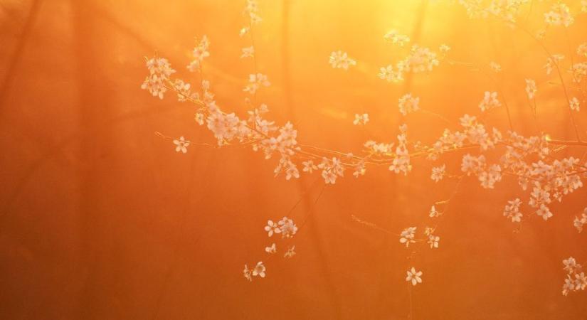 Kellemes, többnyire napos idő vár ránk pénteken