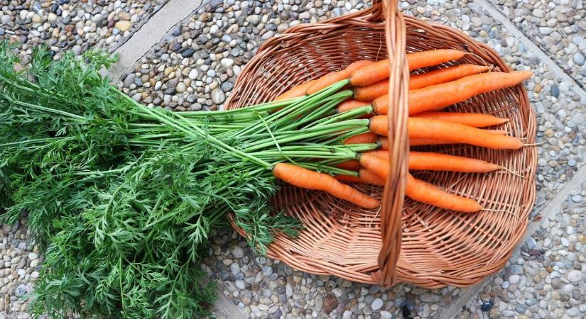 Kifogyóban a készletek: aranyáron mérik tavasszal a biorépát