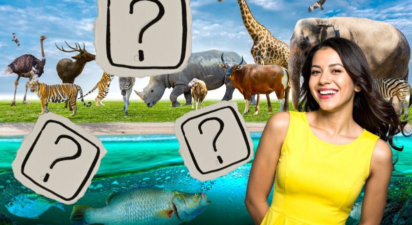 Döntsd el a neve alapján, hogy növény vagy állat! Hány pontod lesz az élővilágkvízen?