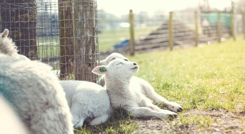 Napsütés vagy zivatarok: Eláruljuk, melyik országrész jár jól ma