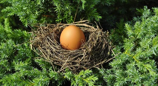 Magyar élelmiszer-előállító kapott nemzetközi díjat