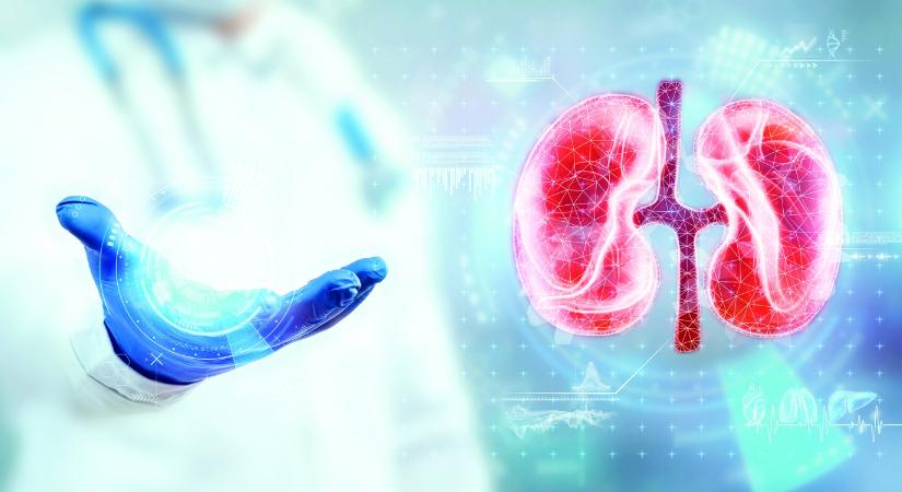 Korszakalkotó terápiák a láthatatlan vesebetegségek ellen