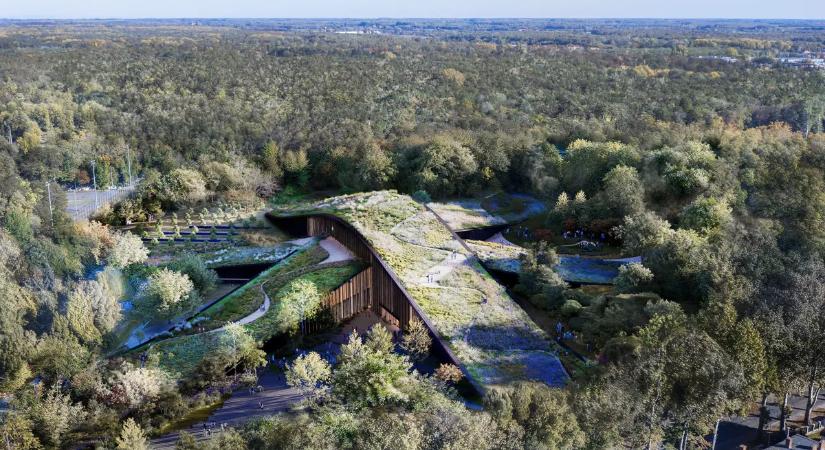 Világszenzáció Debrecenben: Cannes-ban nagy sikerrel mutatkozott be az új Természettudományi Múzeum