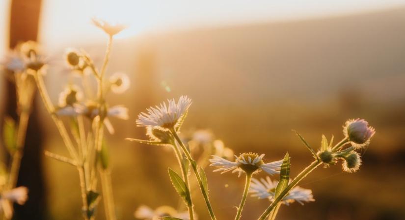 Végre fellélegezhetünk: napsütés, enyhe meleg és frontmentes idő jön – mutatjuk, mire számíthatunk!