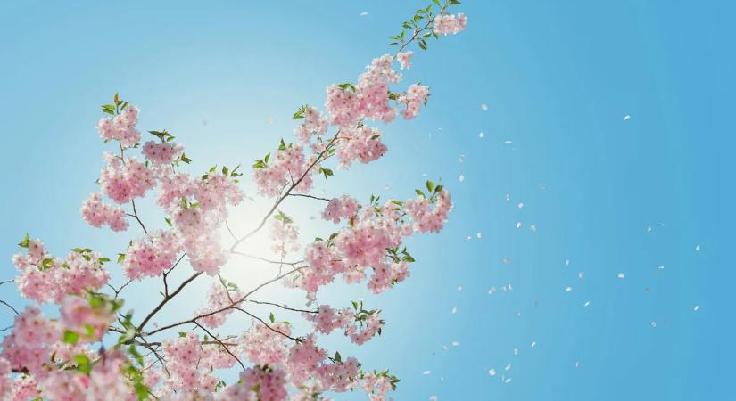 Megbolondult az időjárás: 20 fokkal robban be a tavasz a hétvégén, majd jön a hidegzuhany!