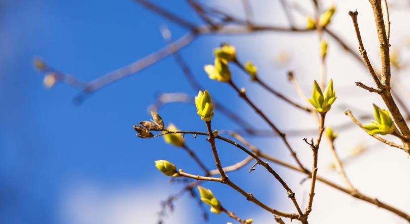 A hőmérséklet több helyen a 20 fokot is megközelítheti