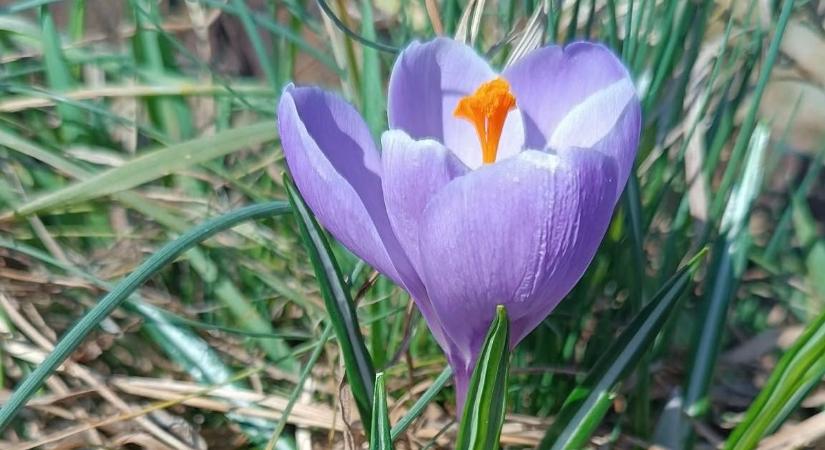 Eddig tartott a tavasz Borsodban?