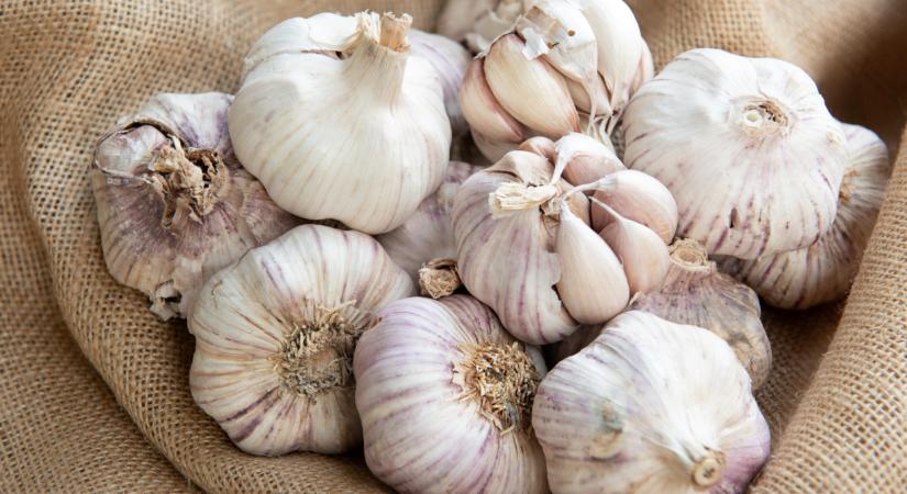 Ilyen fokhagymával vannak tele a boltok: olcsó, de vannak vele gondok