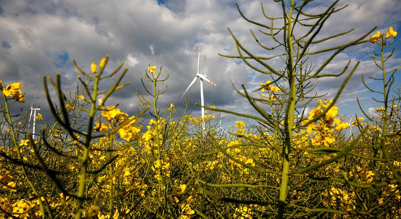 Közelít az ünnepi hétvége, és ezt hozza magával