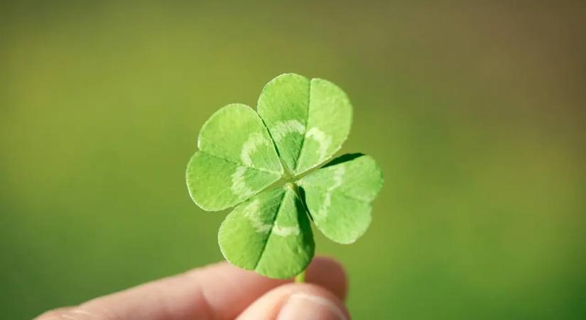 Lottónyertes csillagjegyek: Ezeknek a csillagjegyeknek hatalmas szerencséjük lesz a hétvégén, még a lottót is megnyerhetik