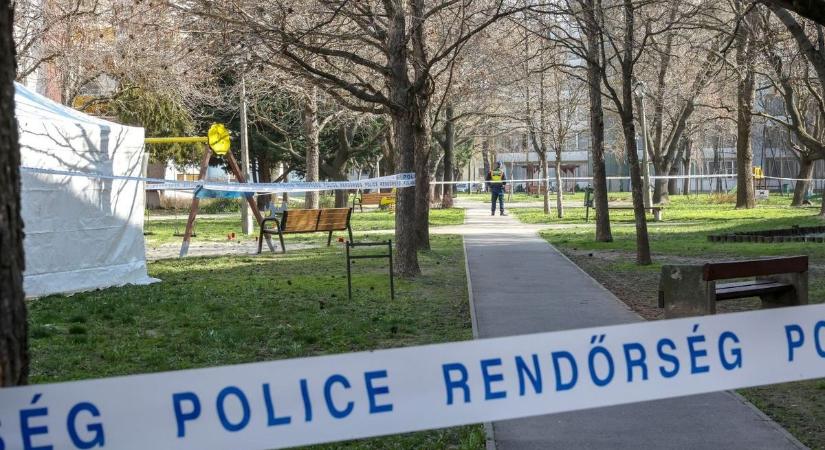 Döbbenet! 16 éves fiú ölte meg a szekszárdi játszótéren megtalált férfit (videóval)