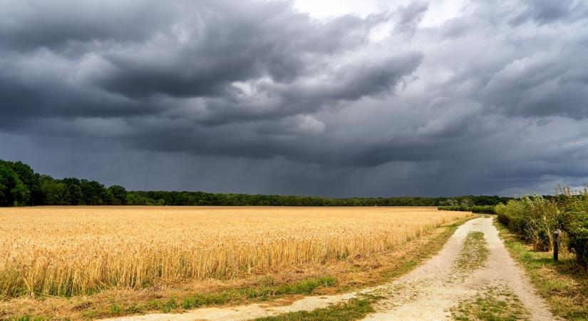 A szomszédban 6 millió hektár föld már külföldi tulajdon