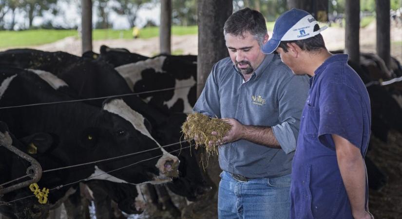 Áprilisban kapják meg a támogatást az állattenyésztők