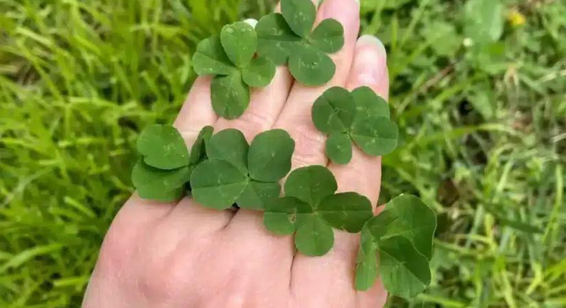 Hét csillagjegy életébe most beköszönt az égi áldás, váratlan szerencse érkezik hozzájuk a héten