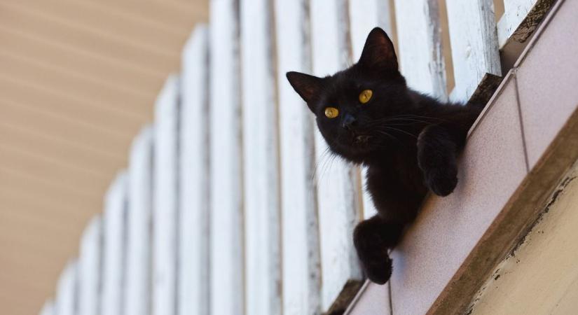 Itt a péntek 13 – na és akkor mi van?